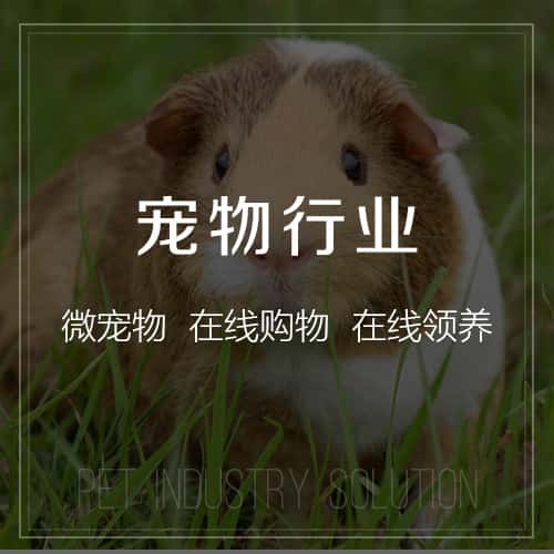 秦皇岛宠物