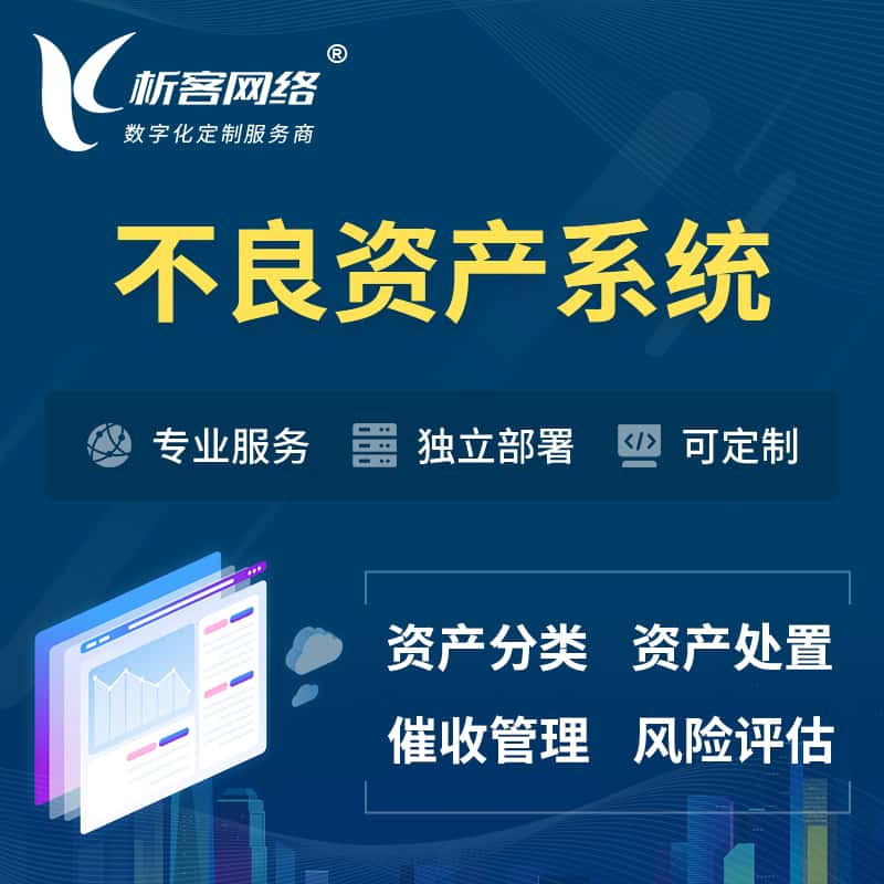 秦皇岛不良资产管理系统