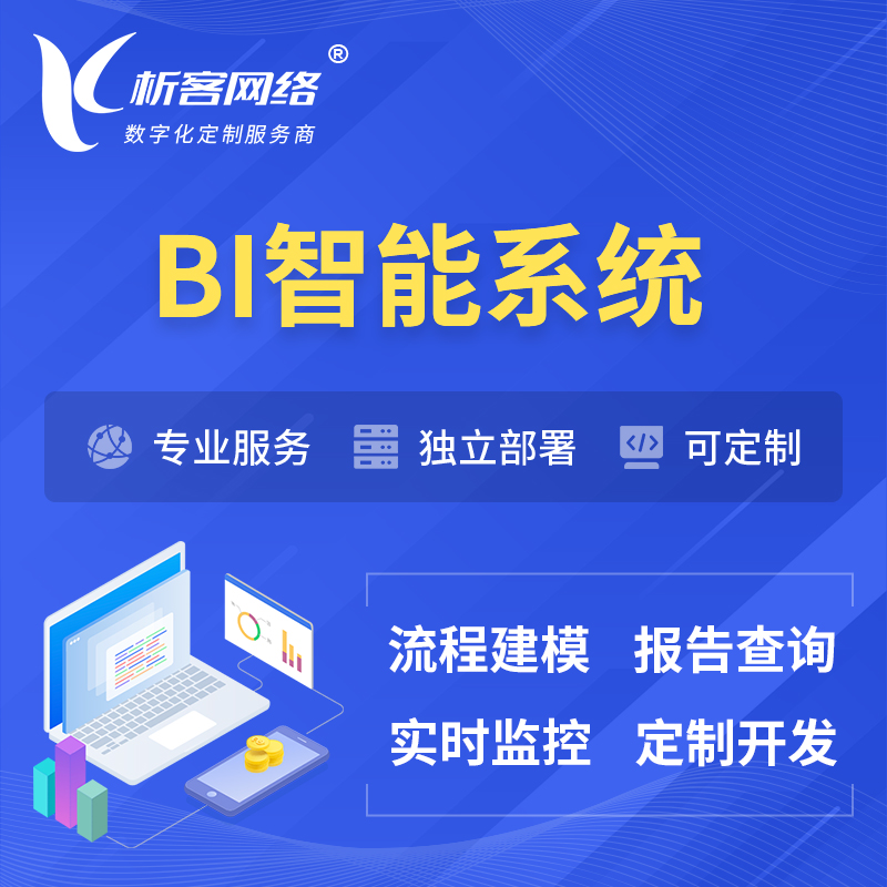 秦皇岛BI智能系统 | BI数据可视化