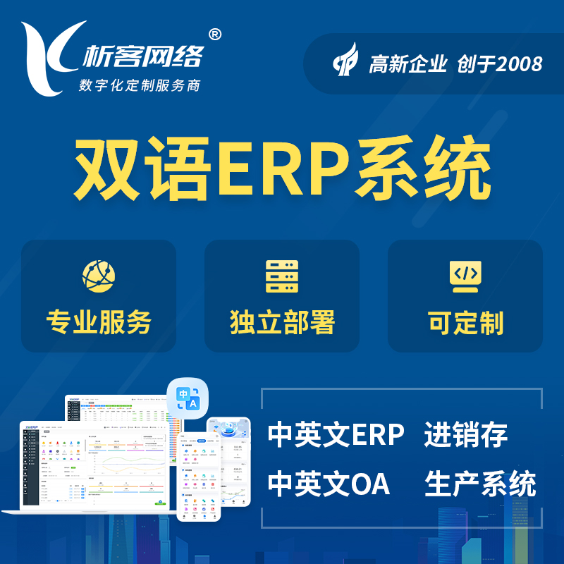 秦皇岛双语ERP系统